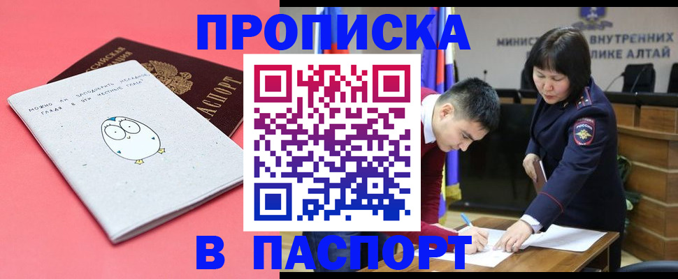 где прописаться в Дмитрове